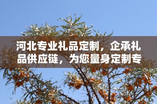 河北专业礼品定制，企承礼品供应链，为您量身定制专属礼品