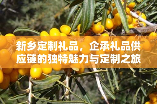 新乡定制礼品，企承礼品供应链的独特魅力与定制之旅